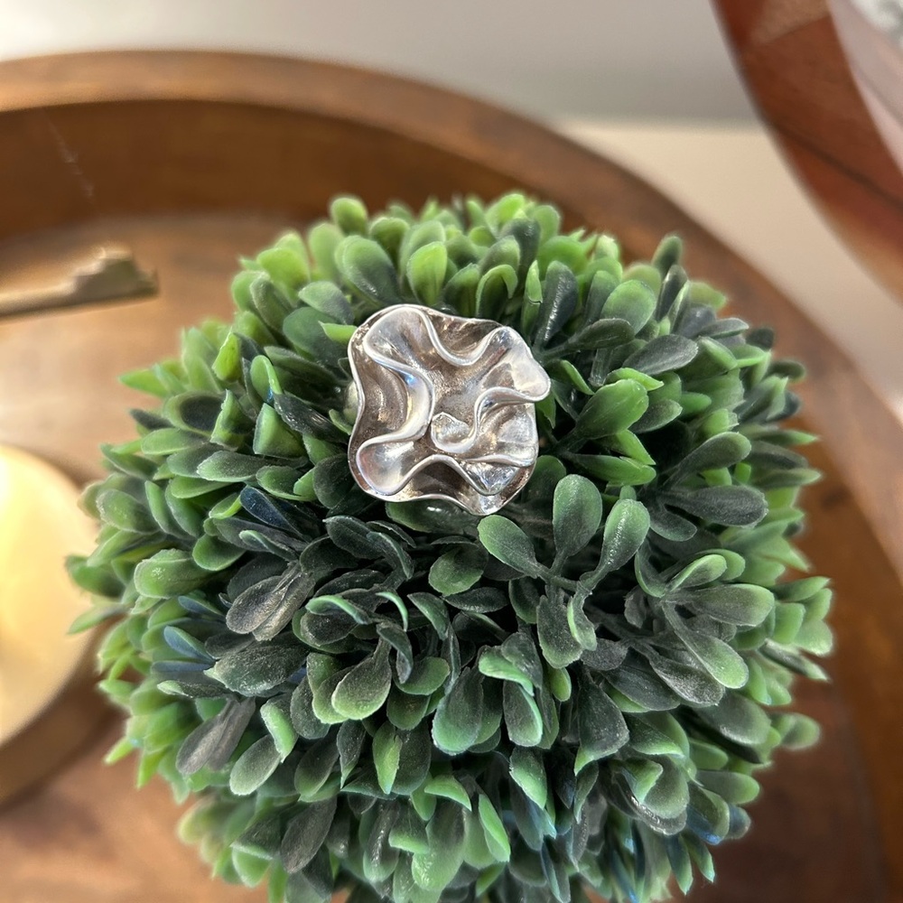 Silpada Ring - image 1